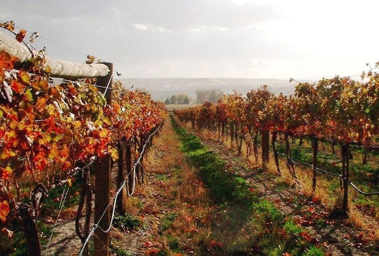 Hotel Wine Country Inn Palisade