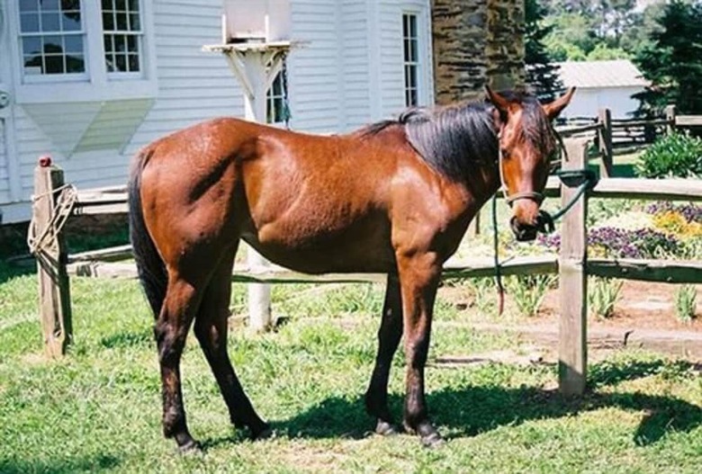 Bed & Breakfast Seventy-four Ranch