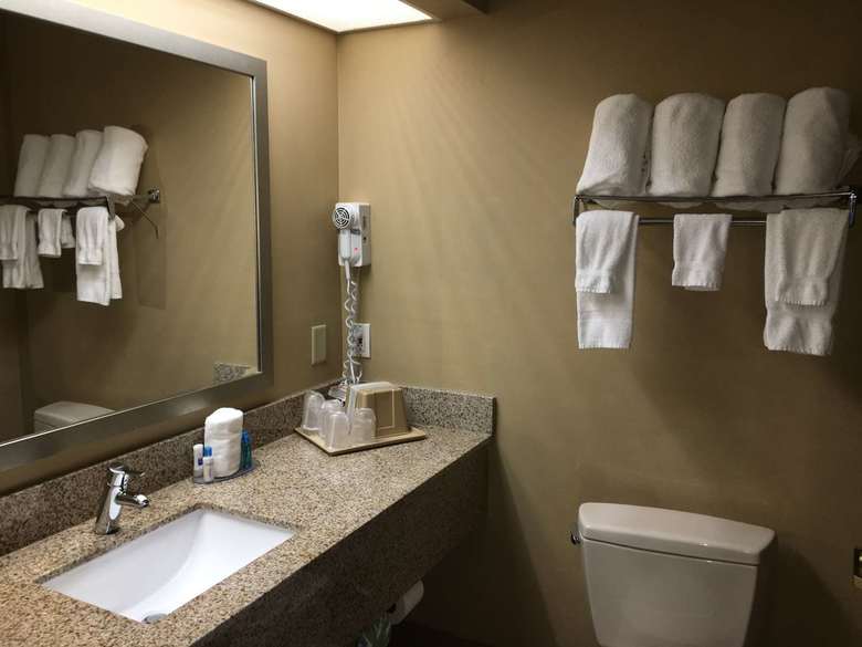 Hotel Best Western Mcdonough Inn & Suites
