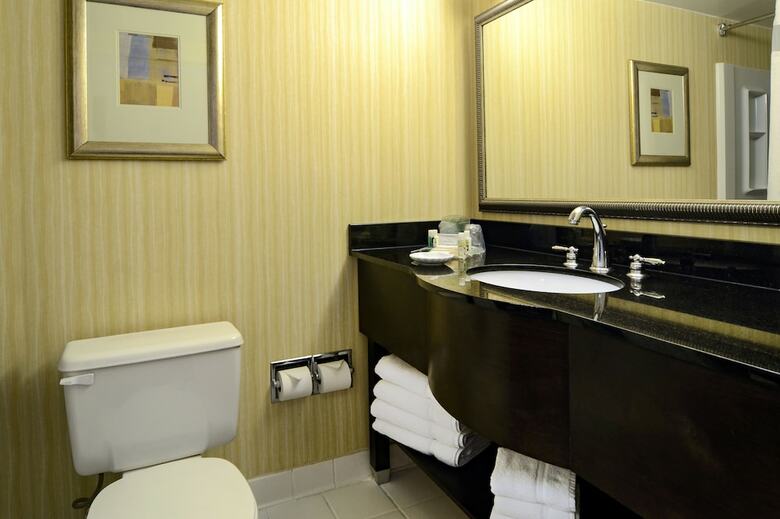 Hotel Holiday Inn Washington Dc-greenbelt Md
