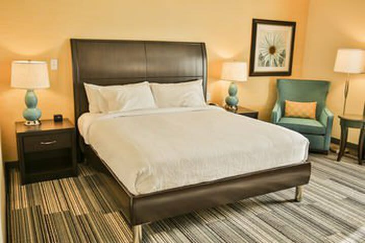 Hotel Hilton Garden Inn Murfreesboro