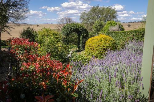 Bed & Breakfast Strathearn Park Lodge
