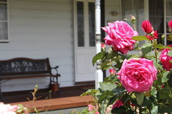 Mayfair Serviced Apartments