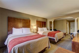 Hotel Comfort Inn & Suites-white Mountains