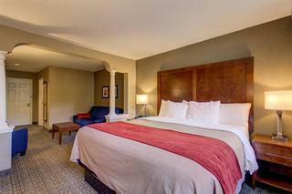 Hotel Comfort Inn & Suites-white Mountains