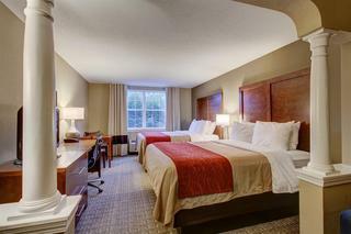 Hotel Comfort Inn & Suites-white Mountains