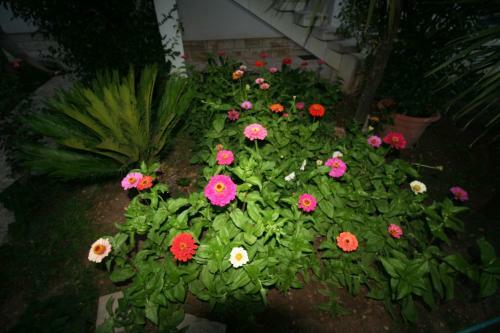 Apartmani Meriko