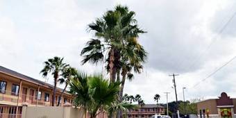 Motel Royal Inn