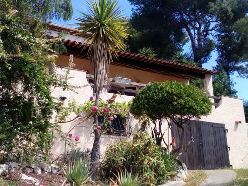 Villa La D�sirade