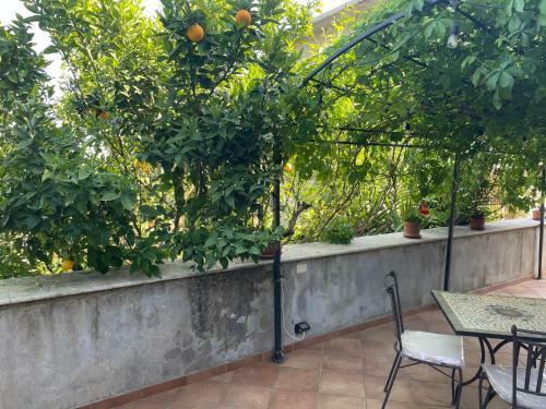 Agroturismo Agriturismo Torre Ercolana