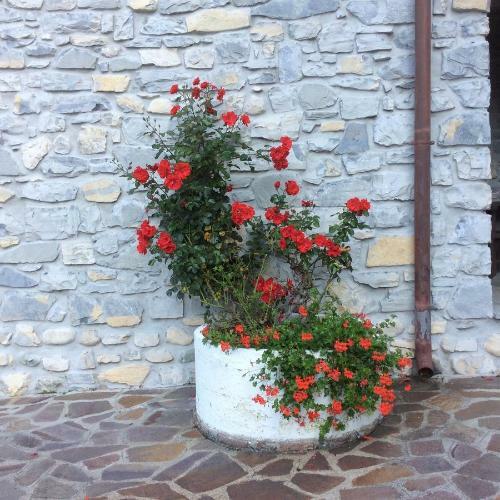 Villa Bellavalle
