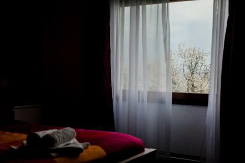 Hostal La Villa Cluj Napoca
