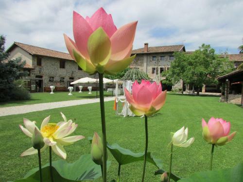 Agroturismo Agriturismo Il Vagabondo