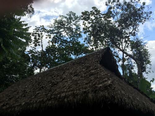 Anaconda Lodge
