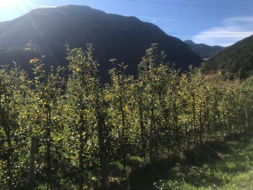 Apartamento Gasserhof Aicha