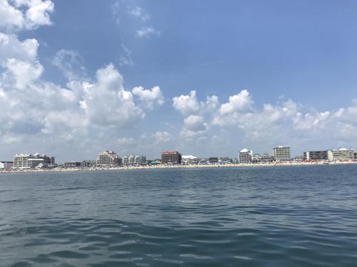 Apartamento Harbour Island 302k