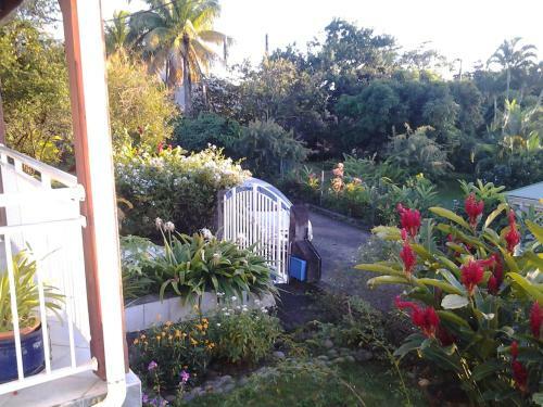 Hostal Chambres Bougainvilliers Vue Mer
