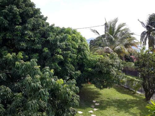 Hostal Chambres Bougainvilliers Vue Mer