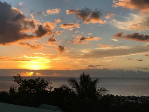 Paradis Tropical Appart'hotel