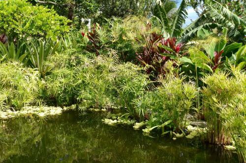 Paradis Tropical Appart'hotel