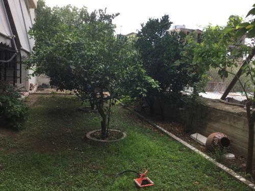 Aparthotel Hotel Kallithea