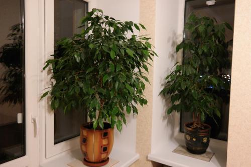 Apartment Gorkogo