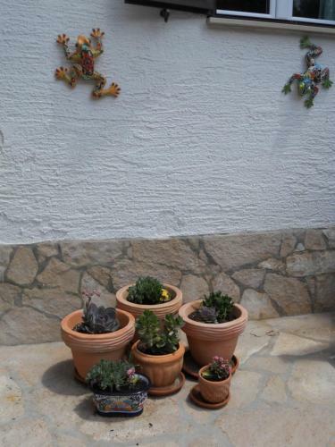 Apartments Lavanda