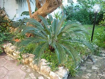 Bed & Breakfast La Rosa Antica
