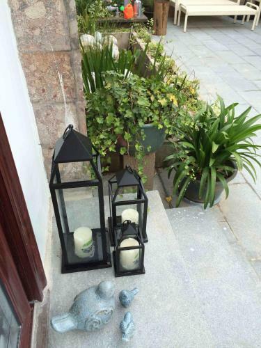 Bed & Breakfast The Pushu