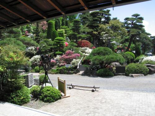 Momoyama
