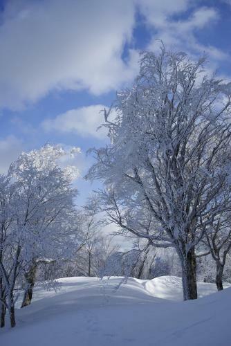 Hostal Guesthouse Anthut