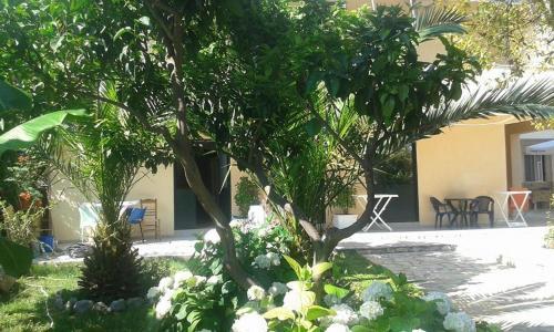 Hostal Vila Nino
