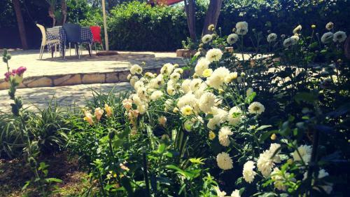 Hostal Vila Nino