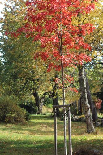 Chalet Gabrettina