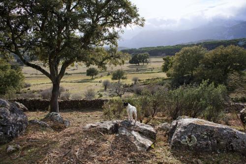 Agroturismo Tambor Del Llano