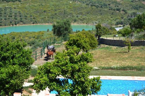 Apartamento Finca Ranchiles