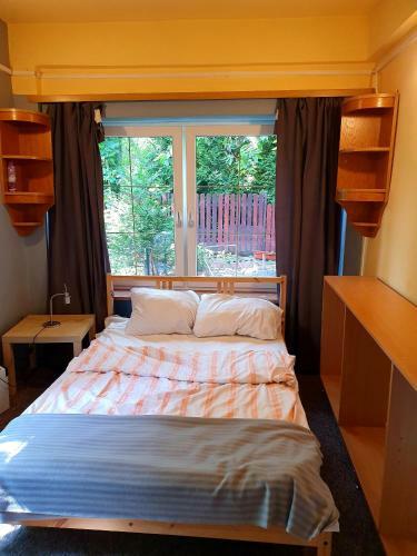 Hostel Kaktus