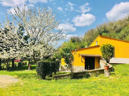 Agroturismo Agriturismo Pianezze
