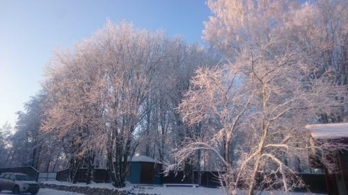 Zimnyaya Skazka