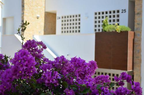 Apartamento Novabeach