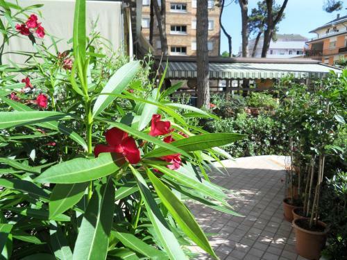 Hotel Abbazia