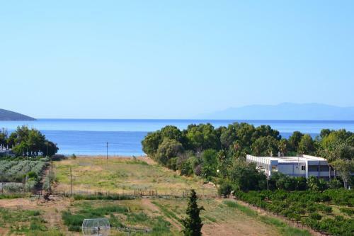 Alexandros Apartments