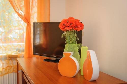 Apartaments In Centre