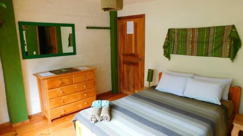 Hotel La Casa Verde Eco Guest House