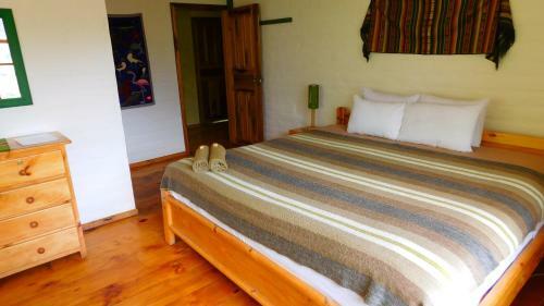 Hotel La Casa Verde Eco Guest House
