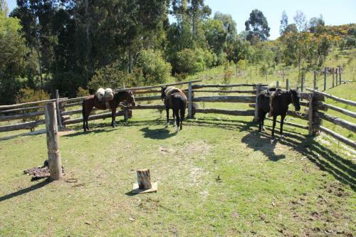 Lodge Refugio Pullao