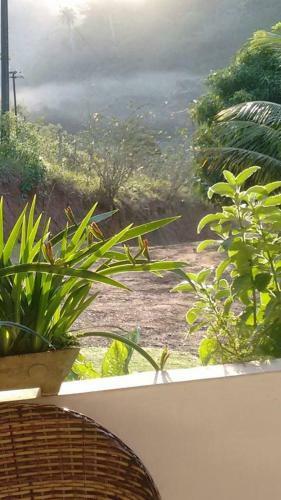 Hostal Pousada Vaca Brava