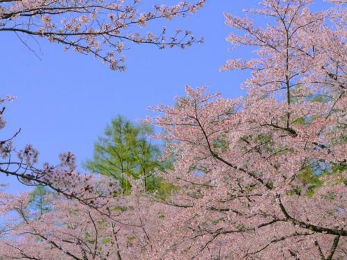 Tateshina Onsen Hotel Shinyu