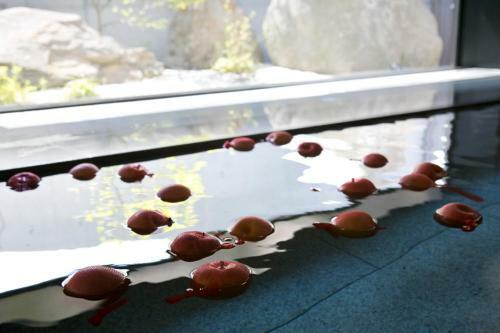 Hotel Horohoro Sanso