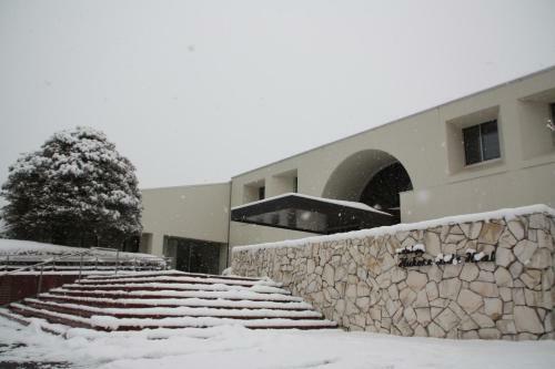 Hakone Lake Hotel